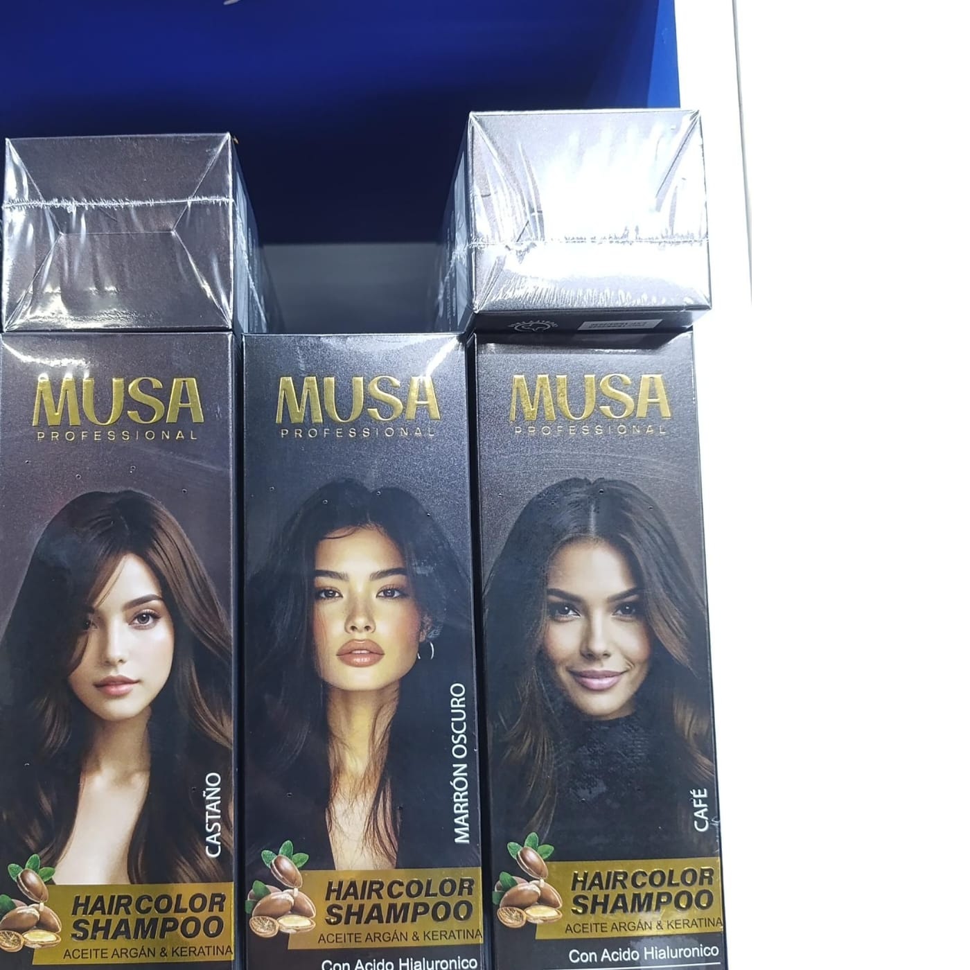 SHAMPOO TINTE MUSSA 
