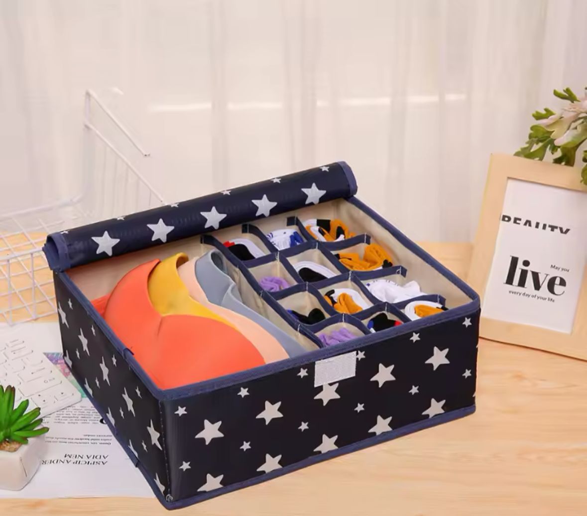 CAJA ORGANIZADORA DE ROPA INTERIOR