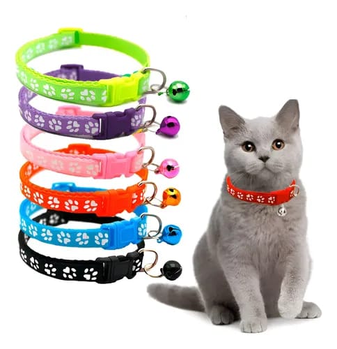 COLLAR DE MASCOTA